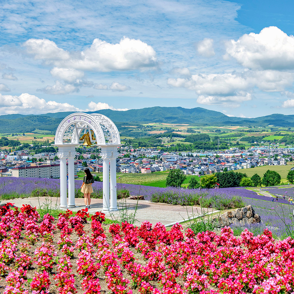 夏日HIGH翻北海道５日】薰衣草花田、熊山遊園車、企鵝遊行、哈密瓜螃蟹、狸小路逛街｜日本｜喜鴻假期