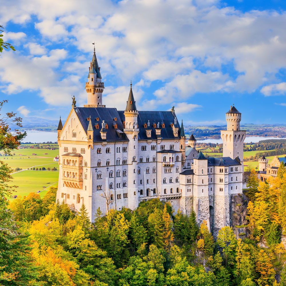 德瑞精華１０日