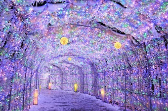 ❆【冬季限定】洞爺湖溫泉夢幻彩燈隧道