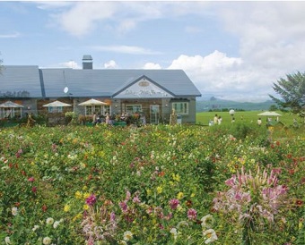 Lake Hill Farm 洞爺湖畔牧場(遠眺羊蹄山美景)