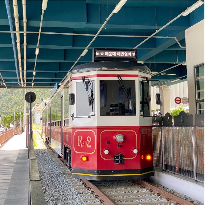 IG打卡熱點~海岸觀光列車