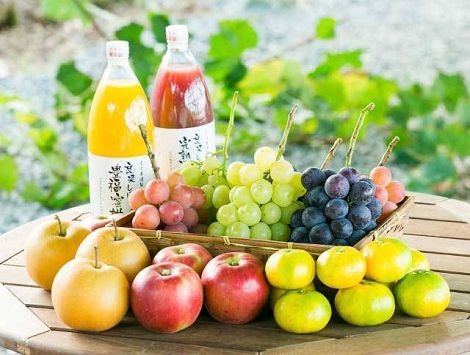 ★季節採果田園樂