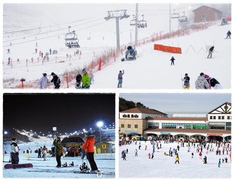 伊甸園山谷滑雪場(含滑雪用具：雪橇、雪杖、雪鞋、防風衣)