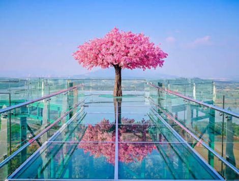 新春饗樂泰北雙城５日